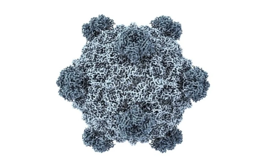 AI tạo ra 16 loại virus chưa từng có trong tự nhiên AI tạo ra 16 loại virus chưa từng có trong tự nhiên
