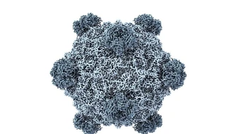 AI tạo ra 16 loại virus chưa từng có trong tự nhiên