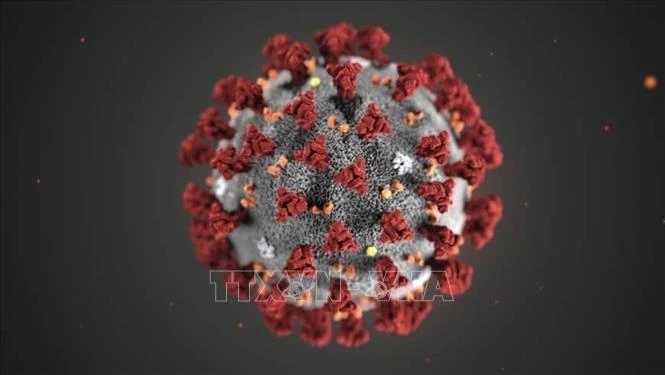 Thế giới lần đầu tạo ra virus không có trong tự nhiên bằng AI giữa nỗi lo AI tự hành động Thế giới lần đầu tạo ra virus không có trong tự nhiên bằng AI giữa nỗi lo AI tự hành động