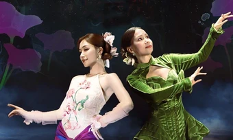 Giới hạn nào cho sáng tạo từ câu hát 'lúa chín không cúi đầu'
