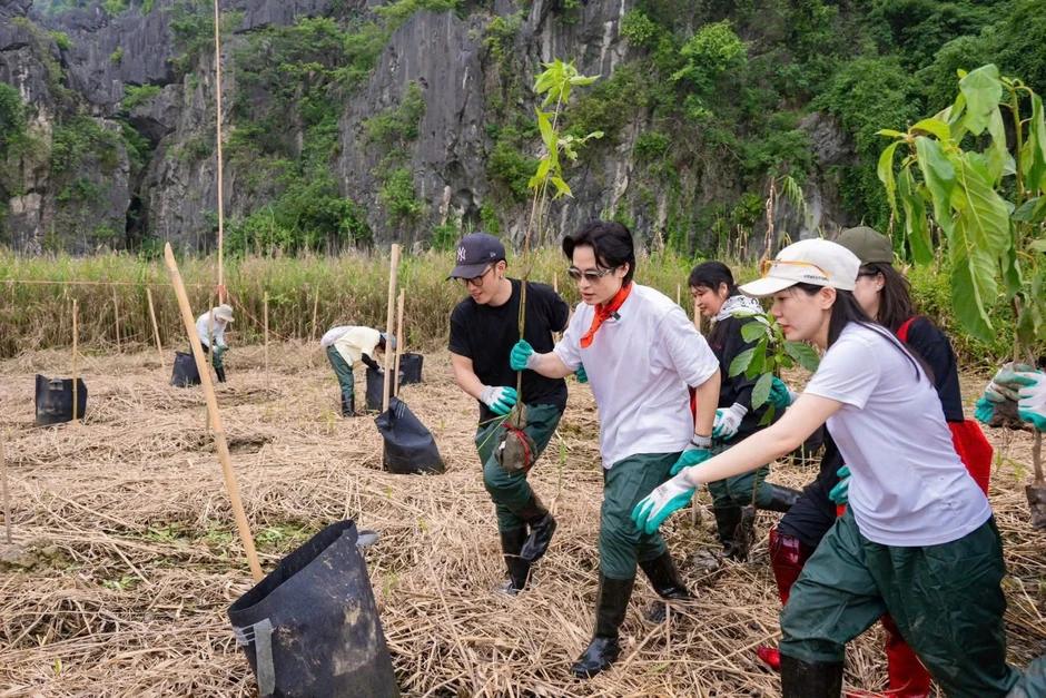 Hà Anh Tuấn, Bùi Công Nam, Phùng Khánh Linh lội bùn trồng rừng