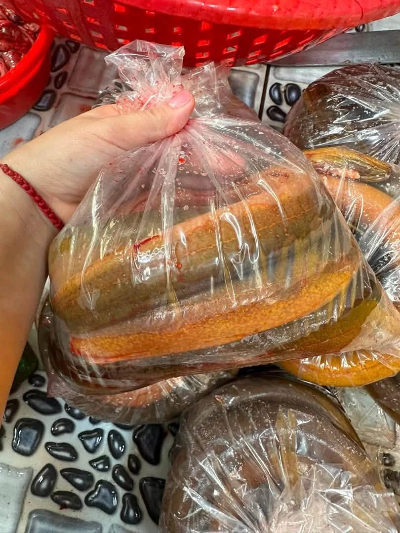 4 loại lươn không nên mua: Cảnh báo từ chủ cửa hàng thủy sản 4 loại lươn không nên mua: Cảnh báo từ chủ cửa hàng thủy sản