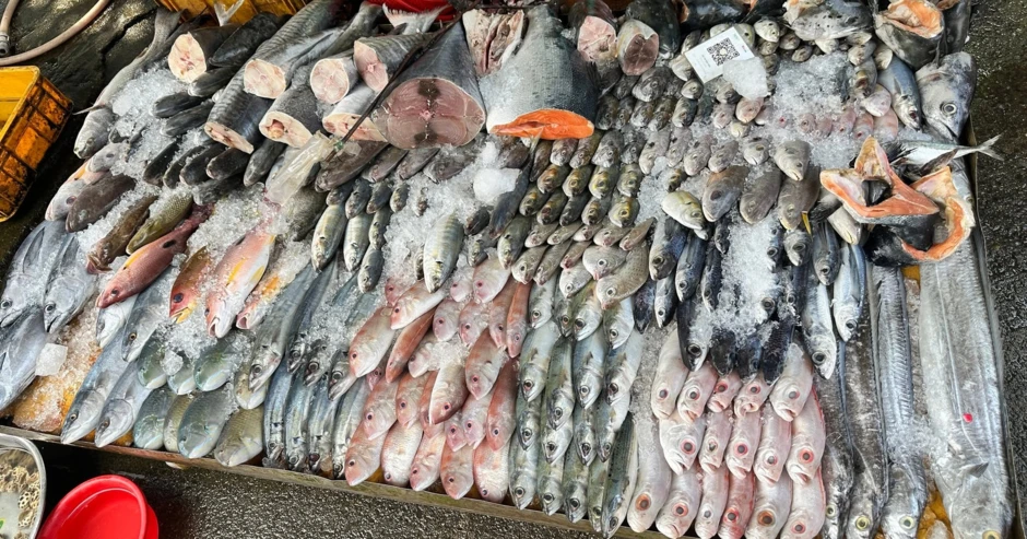 5 loại cá ngon, bổ rẻ hơn cá ngọai, dễ tìm ở chợ Việt 5 loại cá ngon, bổ rẻ hơn cá ngọai, dễ tìm ở chợ Việt