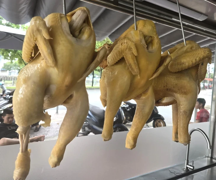 Ăn phở thì thịt gà trống là ngon nhất Ăn phở thì thịt gà trống là ngon nhất