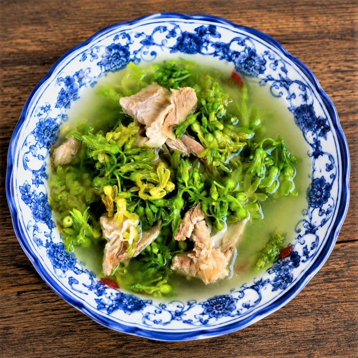 Canh hoa thiên lý dịu mát ngày hè Canh hoa thiên lý dịu mát ngày hè