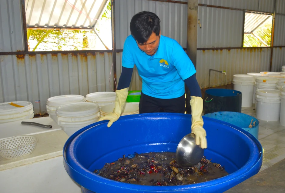 Từng bị xem là hàng dạt, ba khía lột thành riêu OCOP 4 sao Từng bị xem là hàng dạt, ba khía lột thành riêu OCOP 4 sao
