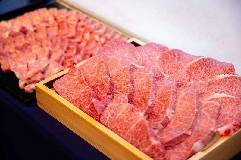 Việt Nam phát triển giống bò H'Mông cao cấp, hướng tới thịt bò chất lượng như Wagyu Việt Nam phát triển giống bò H'Mông cao cấp, hướng tới thịt bò chất lượng như Wagyu