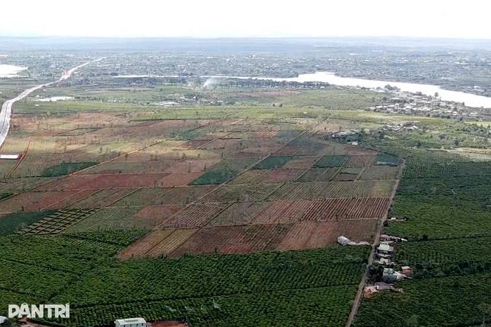 "Cò" phân lô, rao bán cả đất nhà nước quản lý "Cò" phân lô, rao bán cả đất nhà nước quản lý