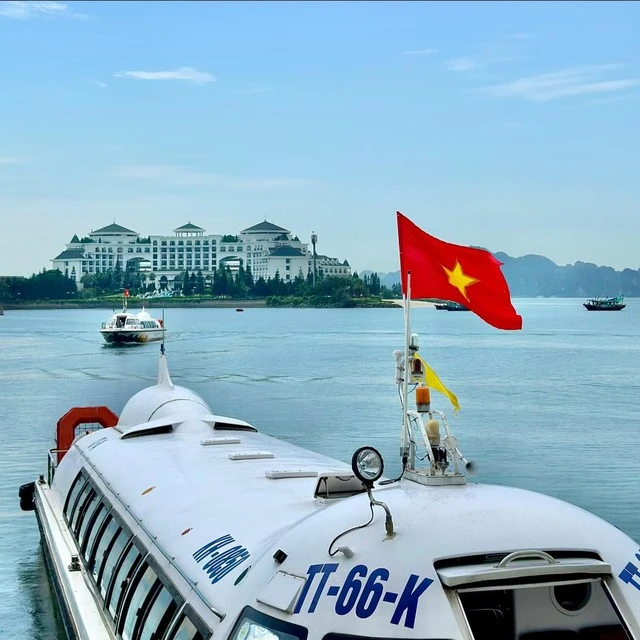 1 hòn đảo được tỷ phú Phạm Nhật Vượng "chăm sóc" suốt hơn 12 năm, cực nổi bật ở tỉnh giàu có bậc nhất Việt Nam 1 hòn đảo được tỷ phú Phạm Nhật Vượng "chăm sóc" suốt hơn 12 năm, cực nổi bật ở tỉnh giàu có bậc nhất Việt Nam