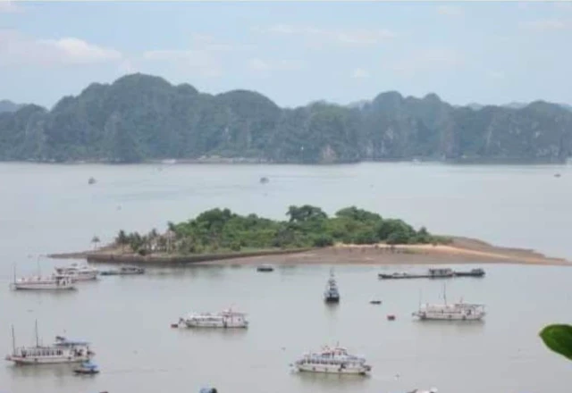 1 hòn đảo được tỷ phú Phạm Nhật Vượng "chăm sóc" suốt hơn 12 năm, cực nổi bật ở tỉnh giàu có bậc nhất Việt Nam 1 hòn đảo được tỷ phú Phạm Nhật Vượng "chăm sóc" suốt hơn 12 năm, cực nổi bật ở tỉnh giàu có bậc nhất Việt Nam