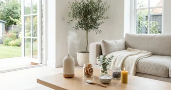4 cách xử lý nhanh mùi khó chịu trong nhà khi giao mùa xuân sang hè