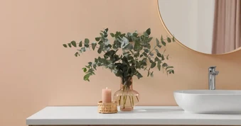 4 mẹo tự nhiên giúp nhà tắm luôn sạch mùi, dễ chịu