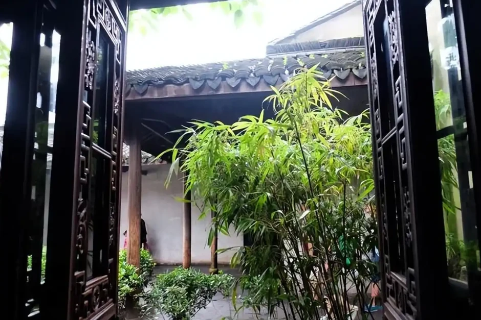 4 vị trí trồng tre trong khuôn viên nhà ở để có lộc 4 vị trí trồng tre trong khuôn viên nhà ở để có lộc