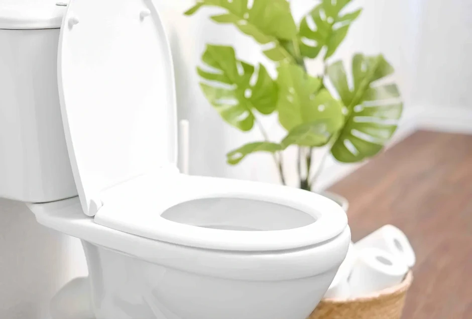 5 thứ nhiều người vẫn dùng để cọ bồn cầu nhưng chuyên gia khuyên tránh xa 5 thứ nhiều người vẫn dùng để cọ bồn cầu nhưng chuyên gia khuyên tránh xa