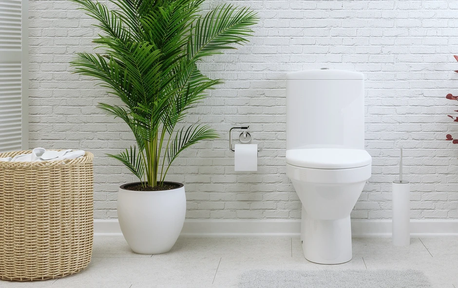5 thứ nhiều người vẫn dùng để cọ bồn cầu nhưng chuyên gia khuyên tránh xa 5 thứ nhiều người vẫn dùng để cọ bồn cầu nhưng chuyên gia khuyên tránh xa