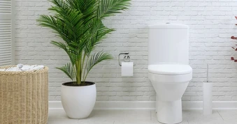 5 thứ nhiều người vẫn dùng để cọ bồn cầu nhưng chuyên gia khuyên tránh xa