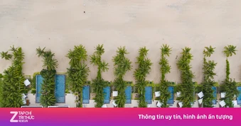 Ai đang 'ôm' đất Hồ Tràm?
