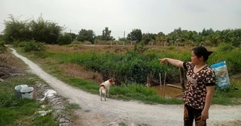 Bản án có hiệu lực hơn một năm, người dân vẫn mòn mỏi chờ… lối đi chung