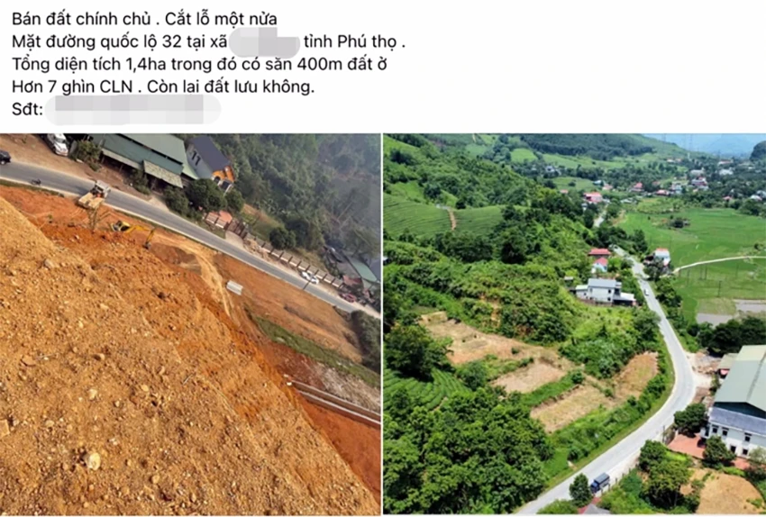 Bất động sản trang trại giảm giá vẫn ế khách mua