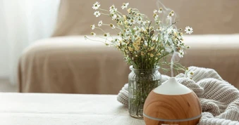 Bí quyết giúp nhà thơm mát cả ngày mà không cần dùng đến hóa chất