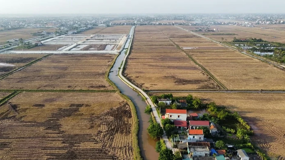 Bỏ cọc hàng loạt sau 'sốt' đấu giá đất vùng quê Bỏ cọc hàng loạt sau 'sốt' đấu giá đất vùng quê