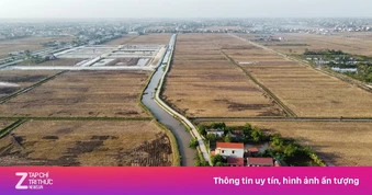 Bỏ cọc hàng loạt sau 'sốt' đấu giá đất vùng quê