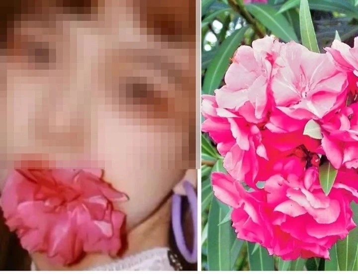 Bốn loại "hoa xui xẻo" nhưng nhiều người vẫn bỏ tiền mua Bốn loại "hoa xui xẻo" nhưng nhiều người vẫn bỏ tiền mua