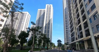 Căn hộ cho thuê hạ nhiệt, phòng trọ gia tăng lượng tìm thuê