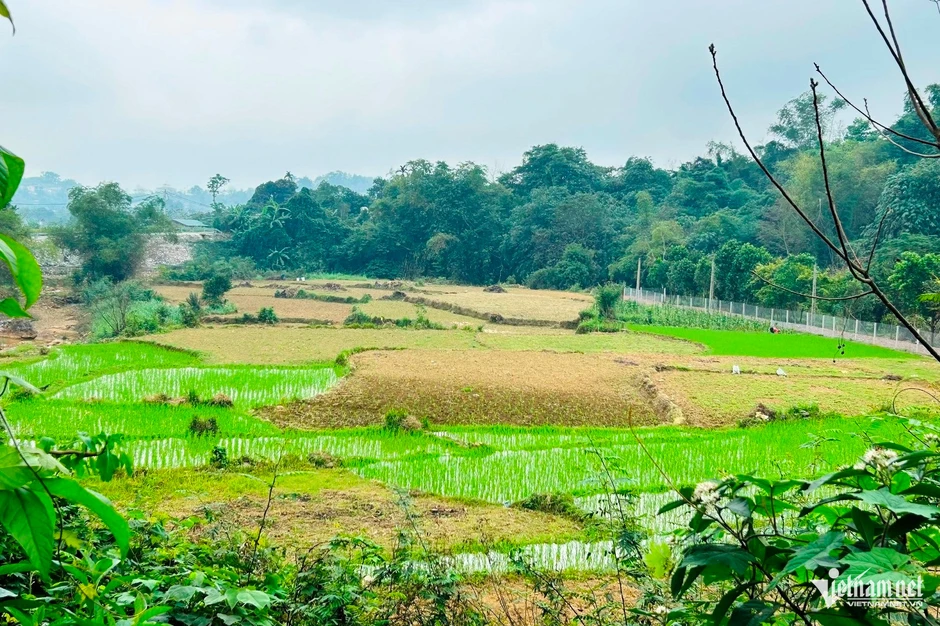 Chuyển sang đất ở: Được giảm tiền sử dụng đất, có thể tính lại khoản đã nộp