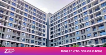 Đà Nẵng: Giá đất tăng vượt nhu cầu ở thực, cao nhất hơn 340 triệu/m2