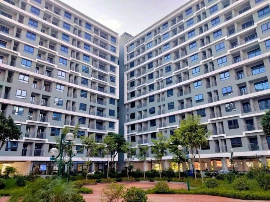 Đà Nẵng: Giá đất tăng vượt xa nhu cầu ở thực, cao nhất hơn 340 triệu đồng/m²