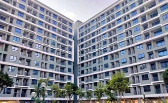 Đà Nẵng: Giá đất tăng vượt xa nhu cầu ở thực, cao nhất hơn 340 triệu đồng/m²