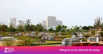 Đà Nẵng tính di dời gần 400.000 ngôi mộ để tái thiết đô thị