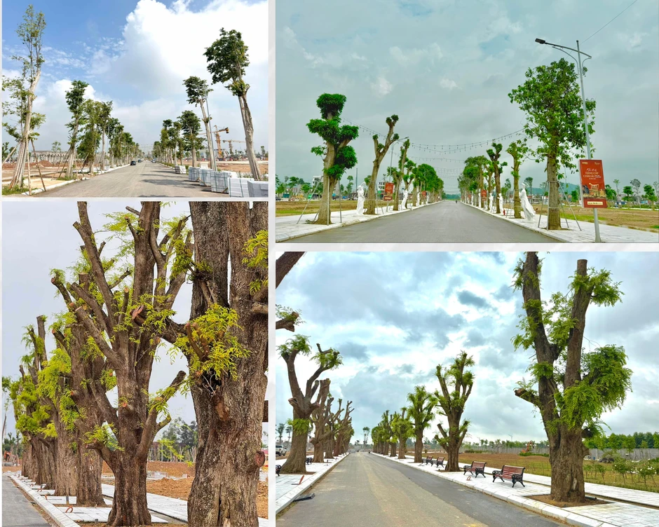 Danko Riverside - Khi trải nghiệm sống thực trở thành thước đo giá trị Danko Riverside - Khi trải nghiệm sống thực trở thành thước đo giá trị