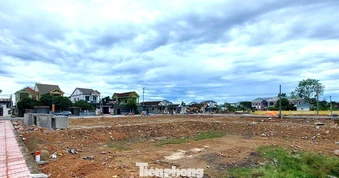 Đất đấu giá vùng quê cao gấp hơn 4 lần khởi điểm, nhiều lô rao bán chênh tiền tỷ