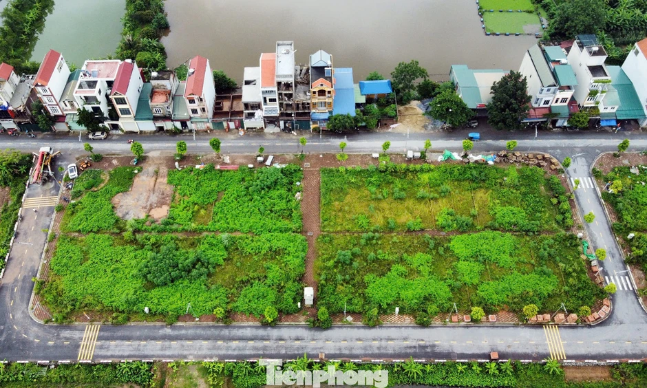 Đất đấu giá vùng ven Hà Nội từng gây 'sốt' trở thành nơi bỏ hoang, không bóng người! Đất đấu giá vùng ven Hà Nội từng gây 'sốt' trở thành nơi bỏ hoang, không bóng người!