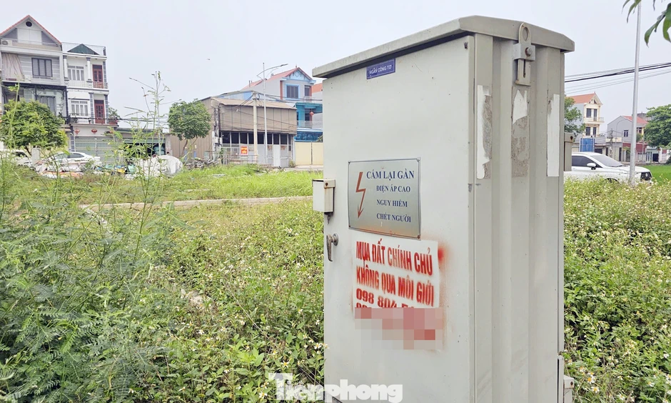 Đất đấu giá vùng ven Hà Nội từng gây 'sốt' trở thành nơi bỏ hoang, không bóng người! Đất đấu giá vùng ven Hà Nội từng gây 'sốt' trở thành nơi bỏ hoang, không bóng người!