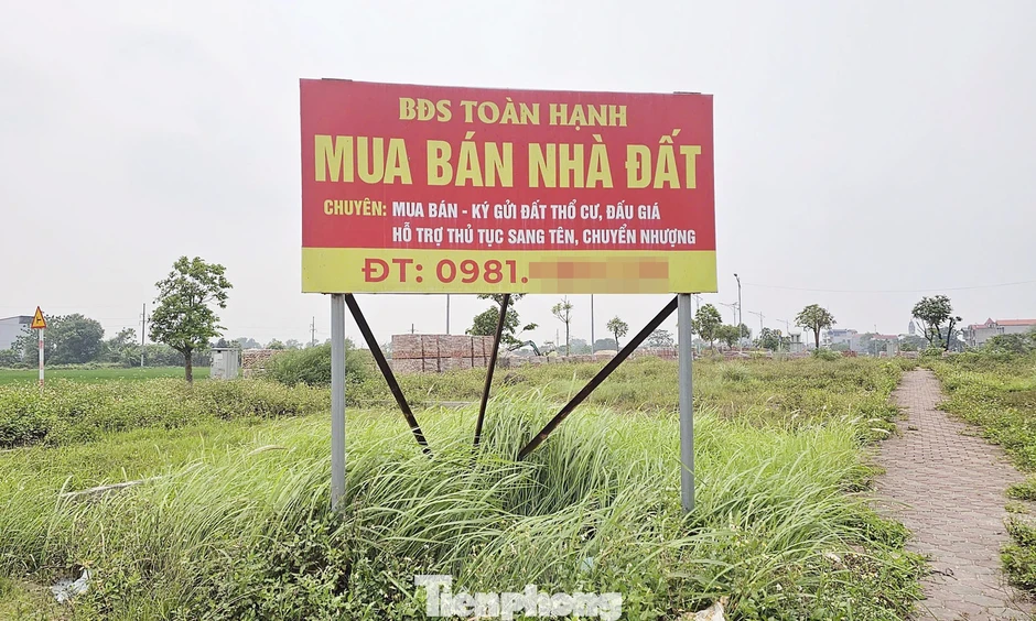 Đất đấu giá vùng ven Hà Nội từng gây 'sốt' trở thành nơi bỏ hoang, không bóng người! Đất đấu giá vùng ven Hà Nội từng gây 'sốt' trở thành nơi bỏ hoang, không bóng người!