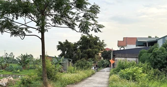 Đất khai hoang trước 1975, xây nhà rồi bị phạt: Có được cấp sổ đỏ?