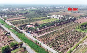 Đất nền giá rẻ trên đất nông nghiệp: Cẩn trọng mất tiền oan