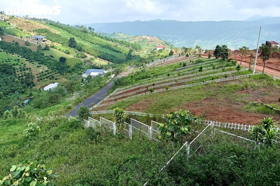Đất nền phân lô 'chôn vốn' 4 năm, rao bán cắt lỗ không ai mua Đất nền phân lô 'chôn vốn' 4 năm, rao bán cắt lỗ không ai mua