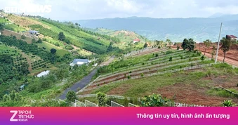 Đất nền phân lô 'chôn vốn' 4 năm, rao bán cắt lỗ không ai mua