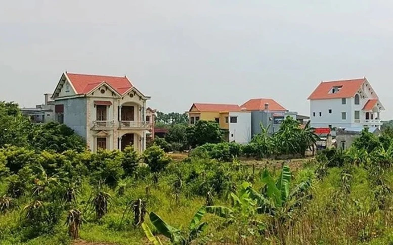 Đất nông nghiệp có nhà xây từ 1998, nay chuyển sang đất ở có bị phạt?