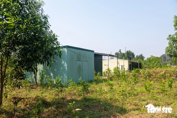 Đất ở nhưng bị từ chối cấp phép xây dựng nhà tạm?