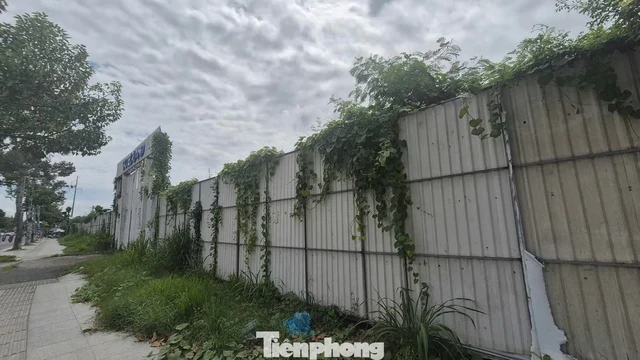 Đề xuất đánh thuế đất bỏ hoang cao gấp 7 lần đất ở: Tránh trở thành “phạt” người có đất? Đề xuất đánh thuế đất bỏ hoang cao gấp 7 lần đất ở: Tránh trở thành “phạt” người có đất?