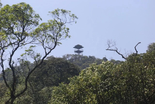 Đỉnh núi ở miền Trung đang được đề xuất xây khu du lịch như "Bà Nà Hills thứ 2": Cao hơn 1000m, ngày trời quang nhìn được ra tới biển Đỉnh núi ở miền Trung đang được đề xuất xây khu du lịch như "Bà Nà Hills thứ 2": Cao hơn 1000m, ngày trời quang nhìn được ra tới biển
