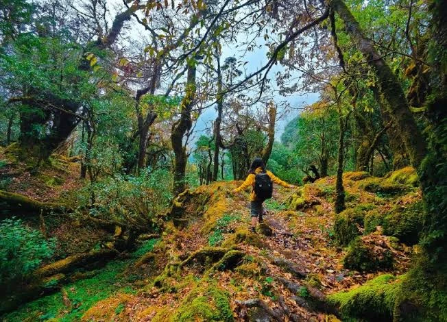 Đỉnh núi ở miền Trung đang được đề xuất xây khu du lịch như "Bà Nà Hills thứ 2": Cao hơn 1000m, ngày trời quang nhìn được ra tới biển Đỉnh núi ở miền Trung đang được đề xuất xây khu du lịch như "Bà Nà Hills thứ 2": Cao hơn 1000m, ngày trời quang nhìn được ra tới biển