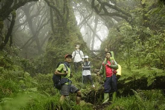 Đỉnh núi ở miền Trung đang được đề xuất xây khu du lịch như "Bà Nà Hills thứ 2": Cao hơn 1000m, ngày trời quang nhìn được ra tới biển Đỉnh núi ở miền Trung đang được đề xuất xây khu du lịch như "Bà Nà Hills thứ 2": Cao hơn 1000m, ngày trời quang nhìn được ra tới biển