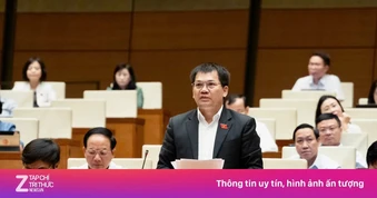 Dự án lấn biển hàng tỷ USD, ĐBQH đề nghị siết tiêu chí nhà đầu tư