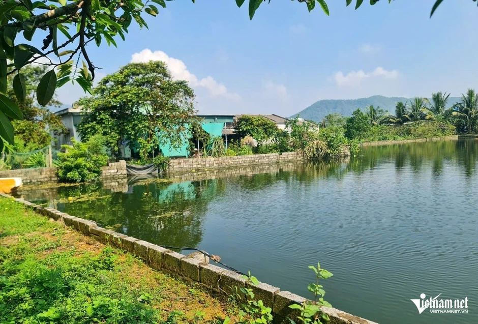 Giá thuê đất công ích 400 triệu đồng/ha/năm, Thanh Hóa xin ý kiến Bộ NN&MT Giá thuê đất công ích 400 triệu đồng/ha/năm, Thanh Hóa xin ý kiến Bộ NN&MT